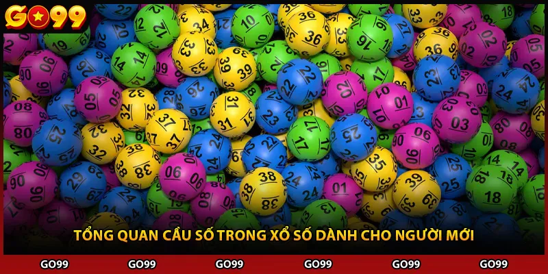 Tổng quan cầu số trong xổ số dành cho người mới