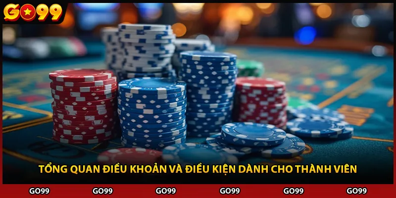 Tổng quan điều khoản và điều kiện dành cho thành viên